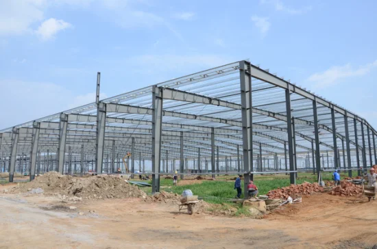 Top Quality Galvanized Steel Structures/Bailey Bridge China Supplier