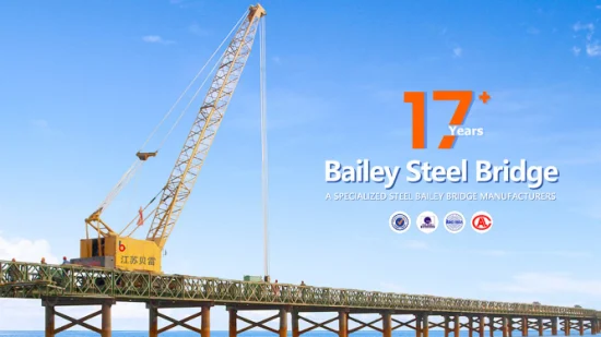 Steel Structure Pedestrian Bridge Bailey Bridge for Emergency Purpose